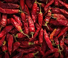nandikoti_Chilli Cold Storage